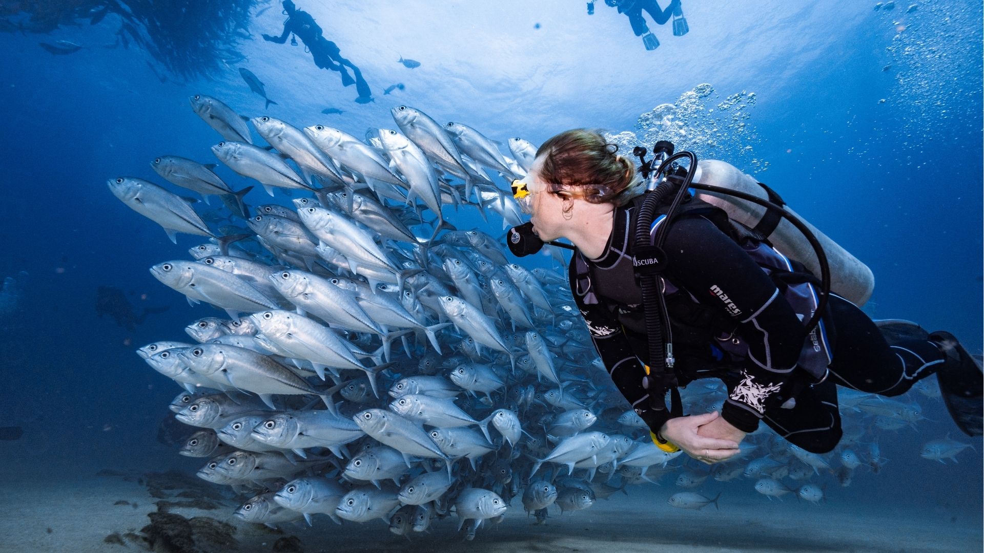 Underwater Archaeology Week 2026: Croatia Travel Guide